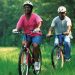 The Importance of Physical Activity